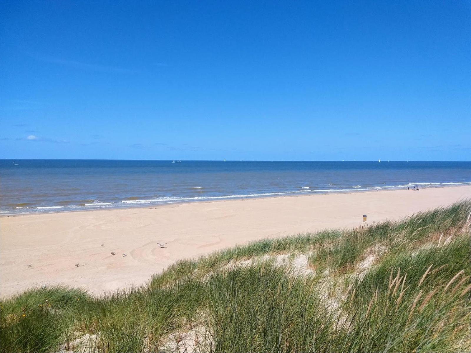 Strandchalet Bredene Exterior foto