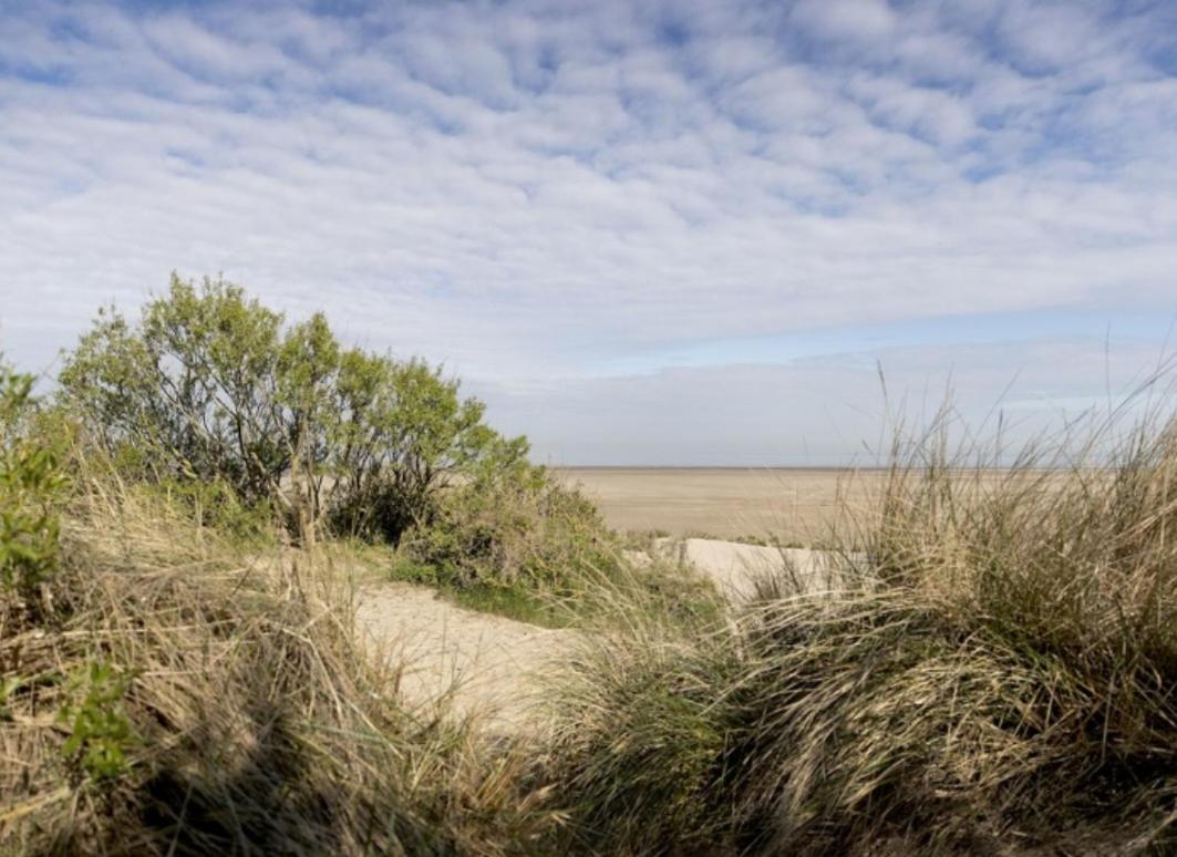 Strandchalet Bredene Exterior foto